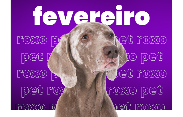 Fevereiro Roxo: Zelando com Carinho pela Saúde do Seu Pet Idoso