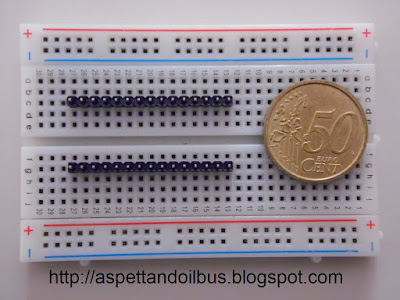 Fig. 5 - Breadboard con i connettori a pettine - foto di Paolo Luongo