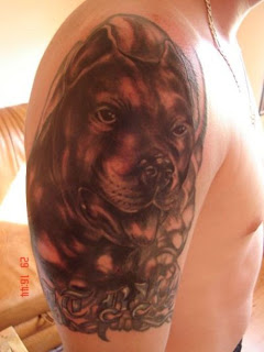 Dog Portrait Tattoo Design on arm