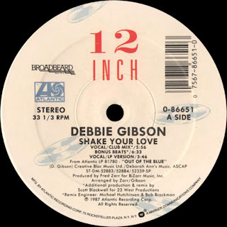 Shake Your Love (12" Club Mix) - Debbie Gibson http://80smusicremixes.blogspot.co.uk
