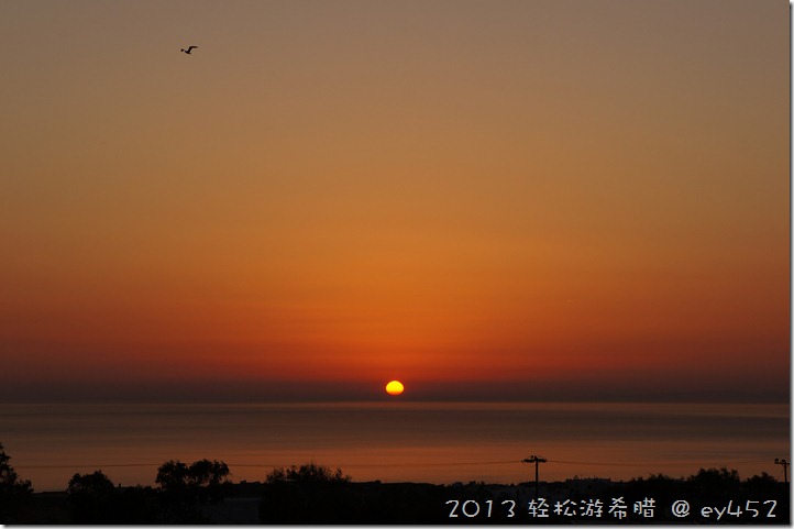DSC01677