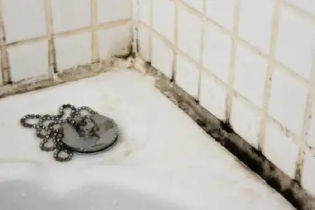 How to deal with mold in the bathroom ways and methods of struggle