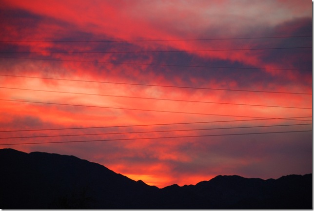 01-29-10 Hi Jolly Quartzsite 021