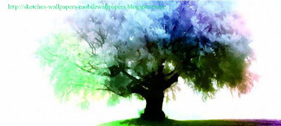 season tree Colour Pencil Sketches wallpapers