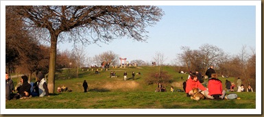 the park and people 