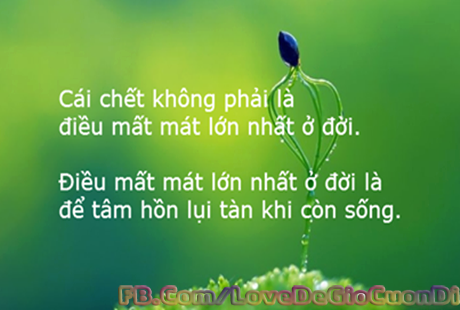 may ao thun quang cao 