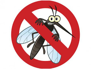 Kumpulan Cara Mengusir Nyamuk Paling Ampuh