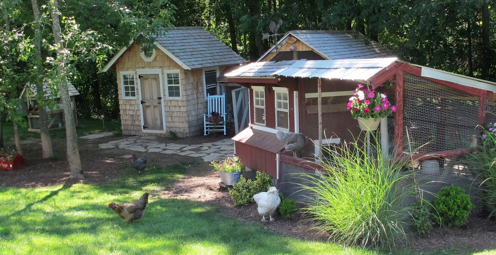 Chicken Coop Ideas The material that covers the floor of a chicken ...