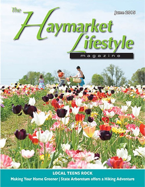 hay life