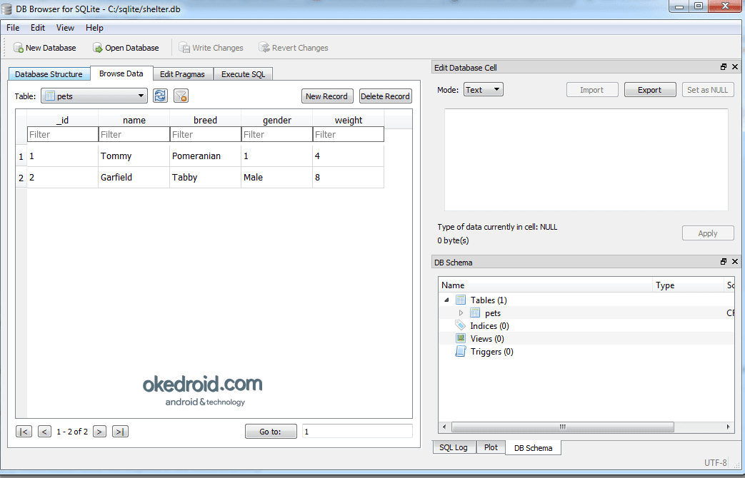 Cara Membuka Database SQLite(CRUD) di DB Browser for 