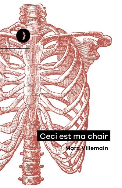 Marc Villemain, Ceci est ma chair