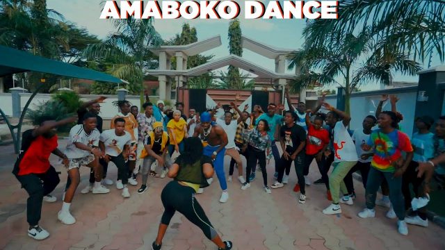 Video | Rayvanny Ft Diamond Platnumz - Amaboko Dance Video