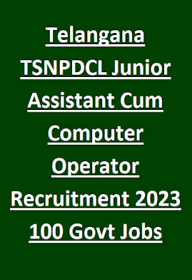 Telangana TSNPDCL Junior Assistant Cum Computer Operator Recruitment 2023 100 Govt Jobs Online Exam Syllabus Pattern