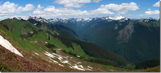 IMG_5907_stitch