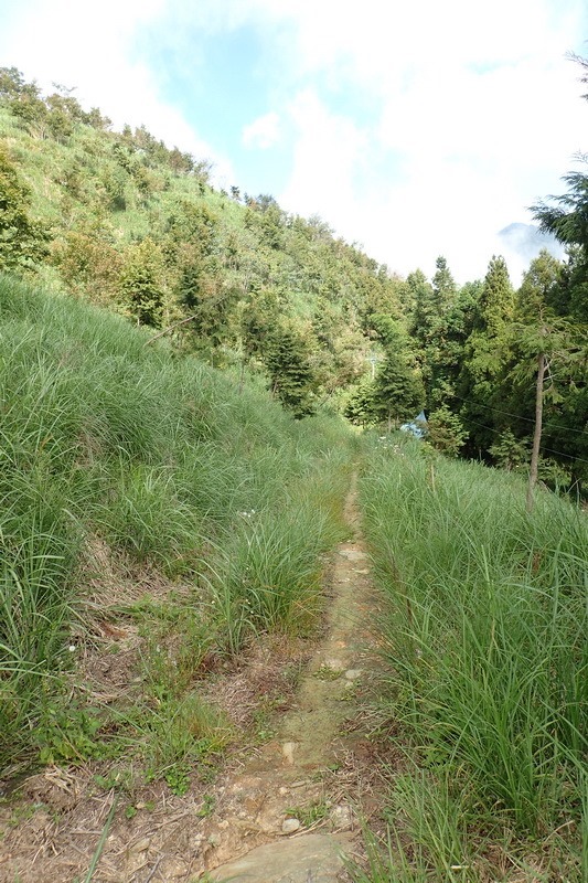 2014_1004 卓社林道登水社大山_020