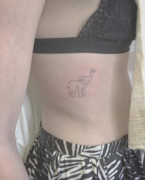 Este adorável elefante Este adorável elefante