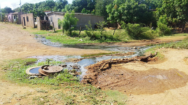 UN RÍO DE AGUAS NEGRAS CORRE POR LA CALLE UNO DE ANTONIO JOSÉ DE SUCRE