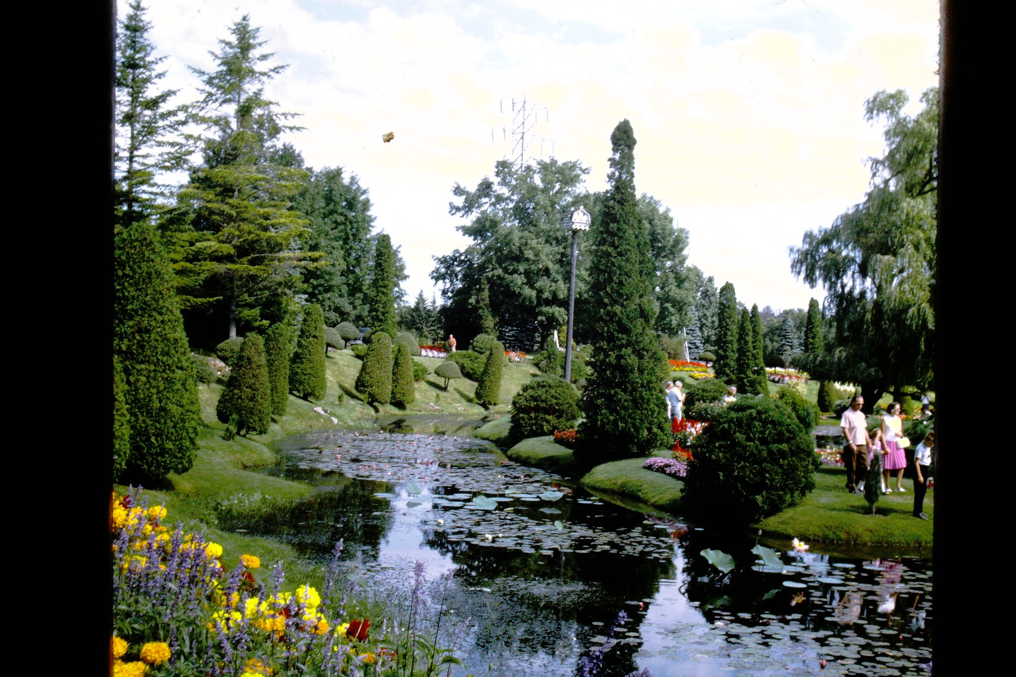 Pond 1968