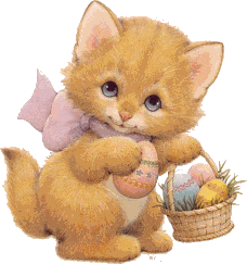 katte013