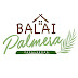 BALAI PALMERA PURSUES PASSION BY HELPING OTHER BUSINESSES (For the Locals, By the Locals)