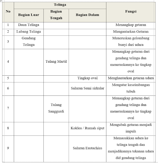 Praktikum Struktur dan Fungsi Telinga