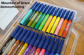 Washable Markers