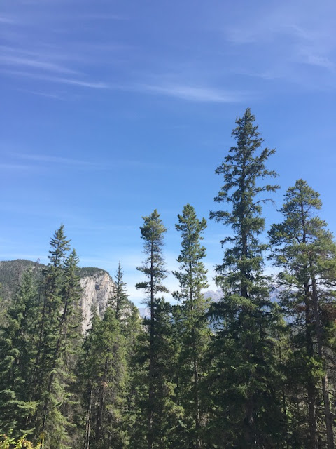 tunnelmountain, banff, nationalpark, travel