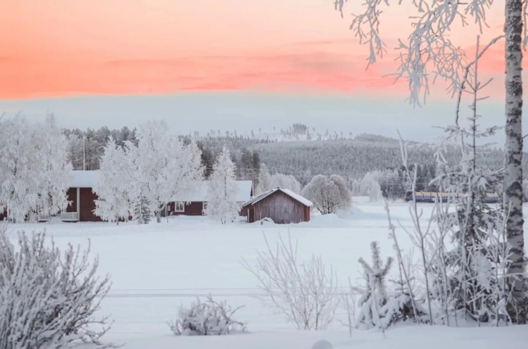A Cosy Country Home in Snowy North Sweden