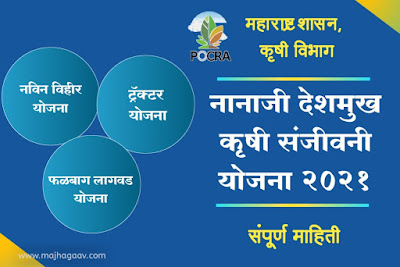 नानाजी देशमुख कृषी संजीवनी योजना 2021 | नानाजी देशमुख कृषी सिंचन योजना | नानाजी देशमुख ट्रॅक्टर योजना | नानाजी देशमुख विहीर योजना | नानाजी देशमुख फळबाग योजना | नानाजी देशमुख कृषी अवजारे | ग्राम कृषी संजीवनी समिती प्रशिक्षण | पोखरा योजना Online Form | नानाजी देशमुख कृषी संजीवनी योजना यादी | नानाजी देशमुख कृषी संजीवनी PDF