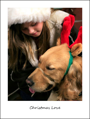 girl in Santa hat with Golden wearing antlers