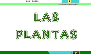  las plantas