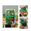 Paket 3 Mix - Tumis Sayur Bening Pecel