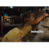Download Film A Dogs Journey (2019) Full Movies HD Blueray (970Mb) MKV