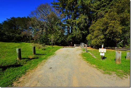 Austin Creek_021