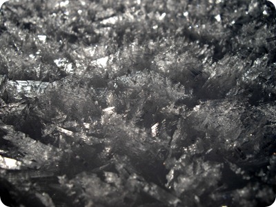 Bear Flat snow crystals