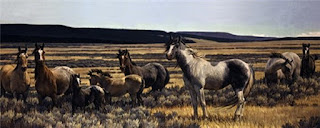 Animales Salvajes Cuadros Caballos