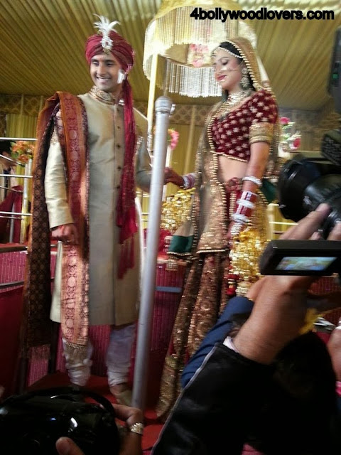 Ravi Dubey and Sargun Mehta wedding Photos8