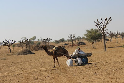 Geographic position of Rajasthan