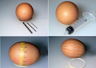 Eggshells Art Airship