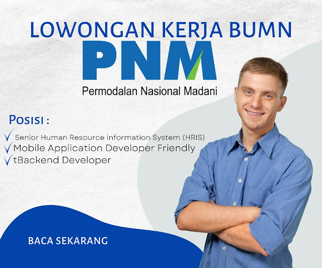 Lowongan Kerja BUMN PT PNM untuk Lulusan IT: Senior HRIS, Mobile App Developer, dan Backend Developer