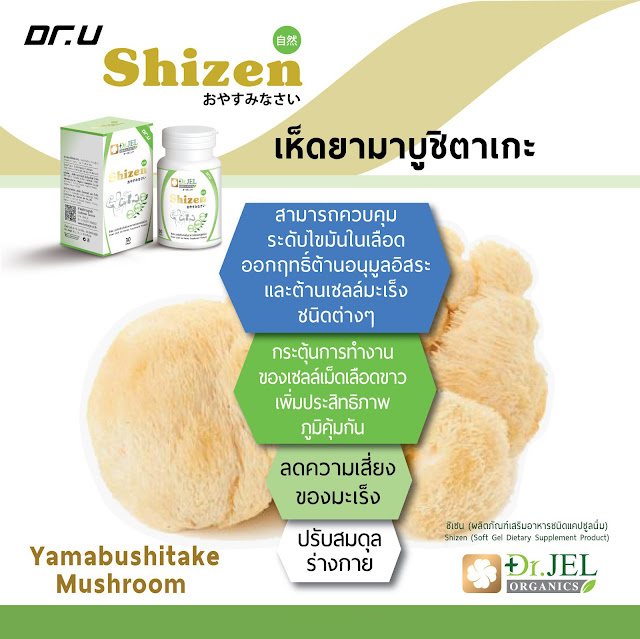 เห็ดยามาบูชิตาเกะ Shizen Dr.U