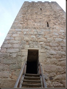 P1170947
