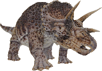 Triceratops