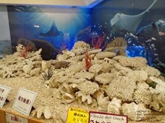 CAM09361