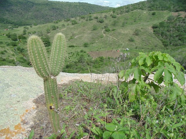 O CHIQUE-CHIQUE QUE EMBELEZA A CACHOEIRA DO COEMA DESCOBERTA PELOS ÍNDIOS TUPIS