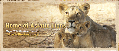 Gir National Park - Best Place to visit in Gujarat