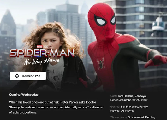 Spiderman No Way Home Akan Ditayangkan di Netflix Pada 13 Julai Ini