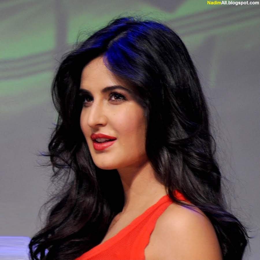 katrina-kaif-hot-2013