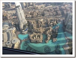 IMG_0247