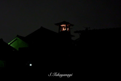 雨　川越　夜の街　日本の風景　snapshot  Japan　金魚